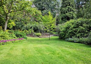 Optimiser l'expérience du jardin à Domezain-Berraute